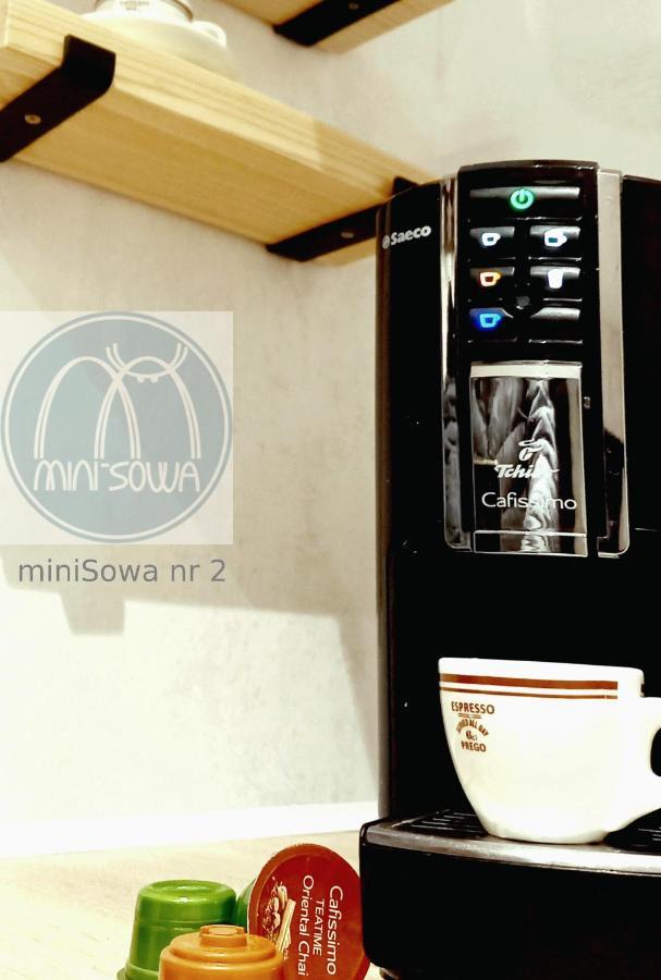 Minisowa Apartment Jedlina-Zdroj Exterior photo